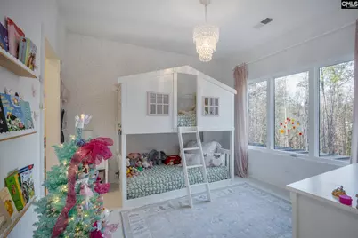 341 Rocky Meadow Drive, Gilbert, SC 29054 - Photo 62