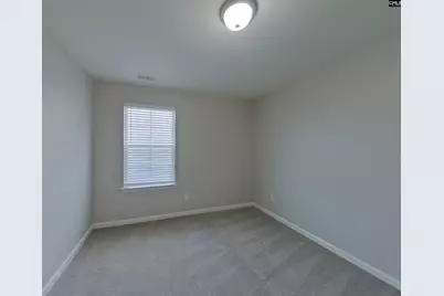 326 Fairford Road, Blythewood, SC 29016 - Photo 14