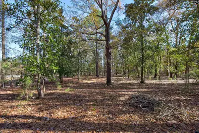 1616 Lakeview Avenue, Camden, SC 29020 - Photo 40