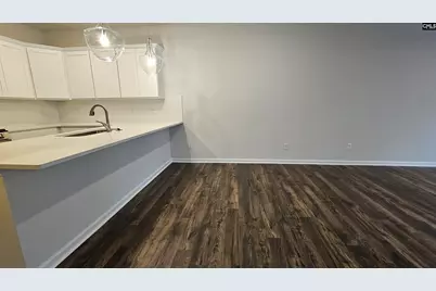 262 Sunny Hill Drive, Blythewood, SC 29016 - Photo 20