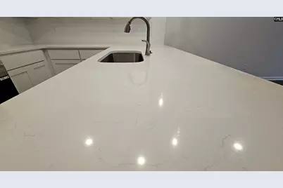 262 Sunny Hill Drive, Blythewood, SC 29016 - Photo 14