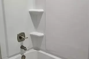 262 Sunny Hl Dr, Blythewood, SC 29016 - Photo 68