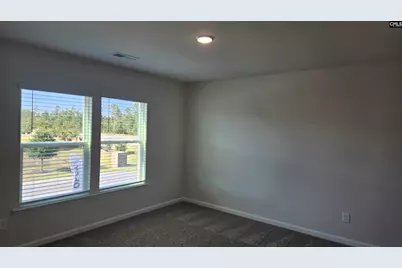 262 Sunny Hill Drive, Blythewood, SC 29016 - Photo 56