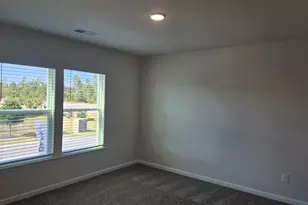 262 Sunny Hl Dr, Blythewood, SC 29016 - Photo 56