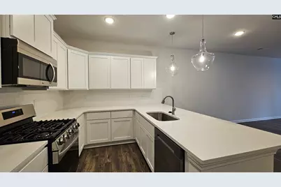 262 Sunny Hill Drive, Blythewood, SC 29016 - Photo 14