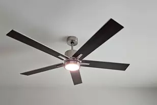 262 Sunny Hl Dr, Blythewood, SC 29016 - Photo 32