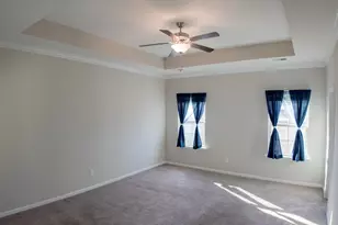 217 Wading Bird Loop, Blythewood, SC 29016 - Photo 8