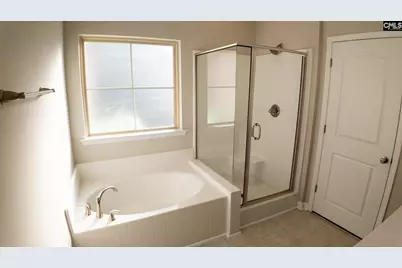 217 Wading Bird Loop, Blythewood, SC 29016 - Photo 10