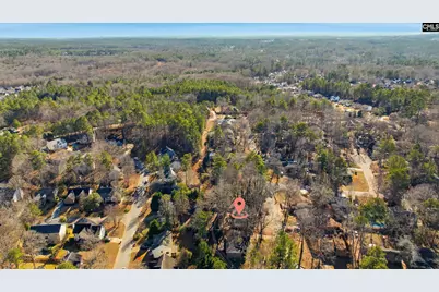 204 Ashwood Drive, Irmo, SC 29063 - Photo 36