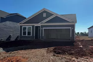 575 Griffon Dr, Chapin, SC 29036 - Photo 1