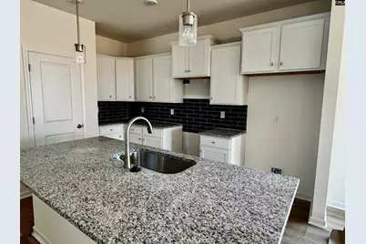 575 Griffon Drive, Chapin, SC 29036 - Photo 2