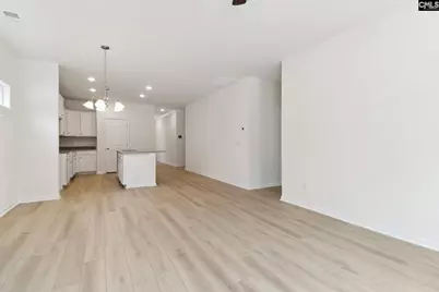 575 Griffon Drive, Chapin, SC 29036 - Photo 16