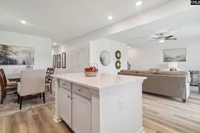 598 Griffon Drive, Chapin, SC 29036 - Photo 8