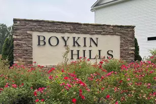 598 Griffon Dr, Chapin, SC 29036 - Photo 22