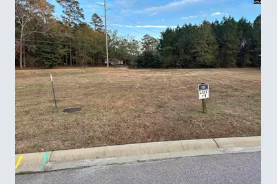 111 Sago Palm Drive #1, Orangeburg, SC 29118 - Photo 1