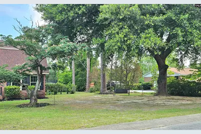 904 Sunnyhill Drive, Camden, SC 29020 - Photo 4