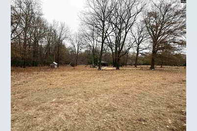 2265 Ninety 6 Road, North, SC 29112 - Photo 1