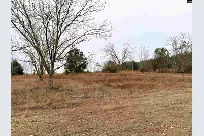 2265 Ninety 6 Road, North, SC 29112 - Photo 6