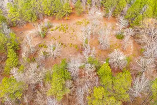 122 E Lonesome Pine Trail, Camden, SC 29020 - Photo 40