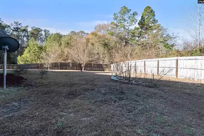 466 Emanuel Creek Drive, West Columbia, SC 29170 - Photo 22