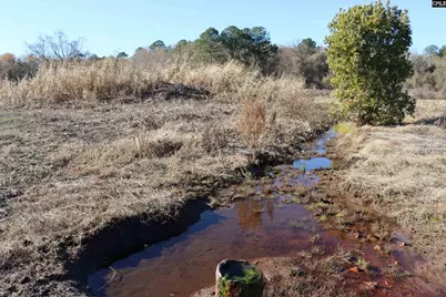 0 Highway 3, Blackville, SC 29817 - Photo 18