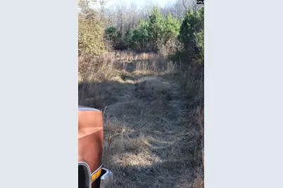 0 Highway 3, Blackville, SC 29817 - Photo 22