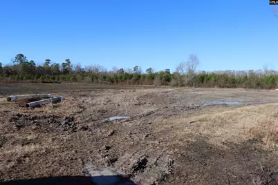 0 Highway 3, Blackville, SC 29817 - Photo 6