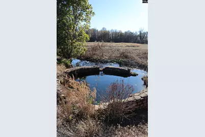 0 Highway 3, Blackville, SC 29817 - Photo 14