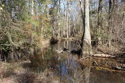 0 Highway 3, Blackville, SC 29817 - Photo 10