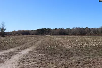 0 Highway 3, Blackville, SC 29817 - Photo 2
