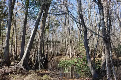 0 Highway 3, Blackville, SC 29817 - Photo 12