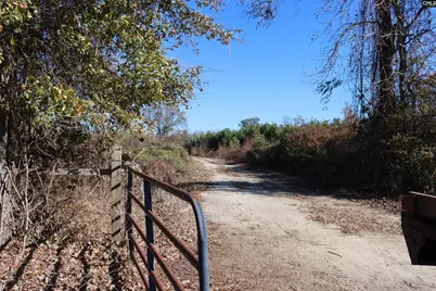 0 Highway 3, Blackville, SC 29817 - Photo 4