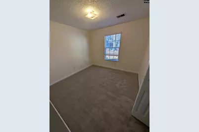 500 Caddis Creek Road, Irmo, SC 29063 - Photo 10