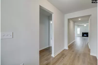 718 Clementine Run, Gilbert, SC 29054 - Photo 4