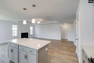 718 Clementine Run, Gilbert, SC 29054 - Photo 12