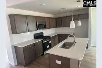 735 Clementine Run, Gilbert, SC 29054 - Photo 4