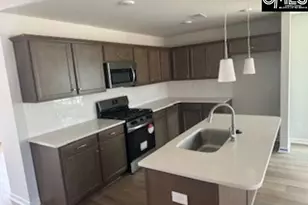 735 Clementine Run, Gilbert, SC 29054 - Photo 4