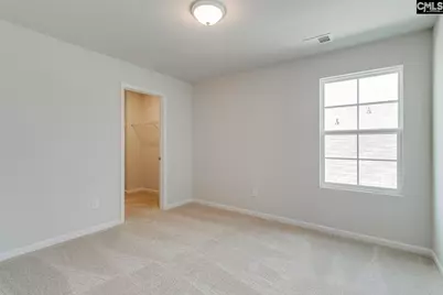 714 Clementine Run, Gilbert, SC 29054 - Photo 28