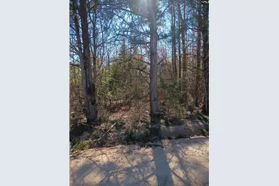 1163 Juneberry Rd, Camden, SC 29020 - Photo 4