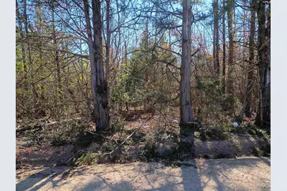 1163 Juneberry Rd, Camden, SC 29020 - Photo 2