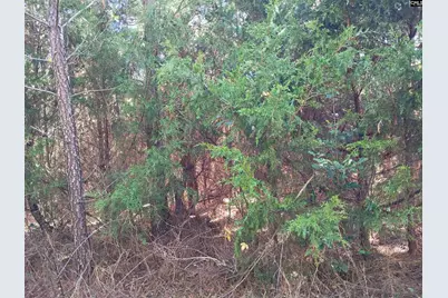 1163 Juneberry Rd, Camden, SC 29020 - Photo 6