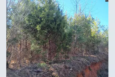 1163 Juneberry Rd, Camden, SC 29020 - Photo 1