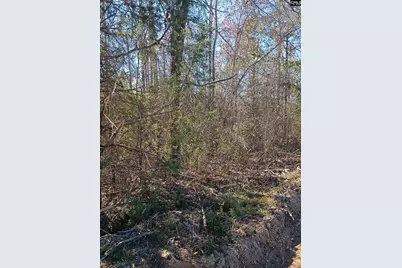 1163 Juneberry Rd, Camden, SC 29020 - Photo 8