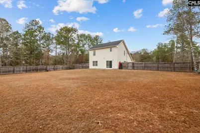 885 Bush Berry Road, Pelion, SC 29123 - Photo 26
