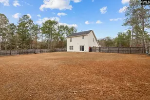885 Bushberry Rd, Pelion, SC 29123 - Photo 26