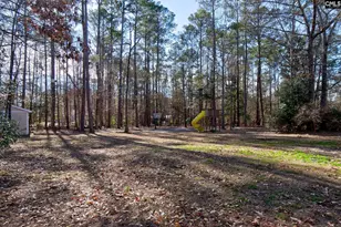 212 Running Deer Dr, Hopkins, SC 29061 - Photo 50