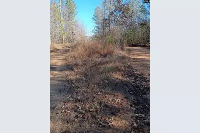 1164 Calvins Rd, Camden, SC 29020 - Photo 2