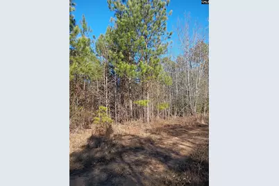 1164 Calvins Rd, Camden, SC 29020 - Photo 6