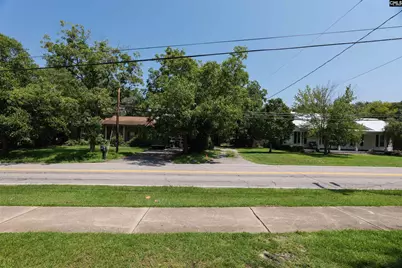 120 Old Chapin Road, Lexington, SC 29072 - Photo 22
