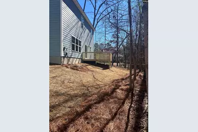 205 Quiet Side Court, Blythewood, SC 29016 - Photo 4